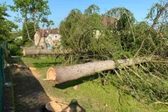 received_272556921804119