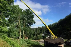 received_349564867281364