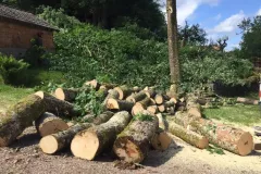 received_358091356448096