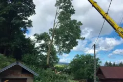 received_359088349546184