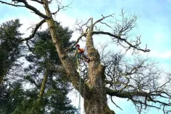 Messenger_creation_4dd01392-ccef-46ef-9e3d-ce7b4a71a9db