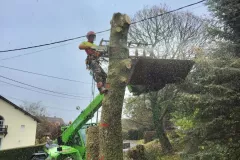 received_366198075190642