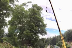 received_465119955418261