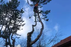 received_600802204079003