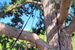 523141913_1438629134357574_612796944120436228_n