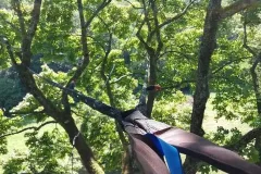 67097316_1188247478020802_2904585789855760384_n