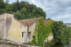 received_1005279617179245