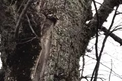 505216400_2888927914619408_3683689510425104796_n