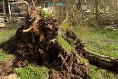 90915586_1400831230095758_5739866205011836928_n