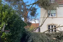 91109036_1400831126762435_7118658051145465856_n