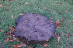 20230102_165736-Copie