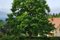 492219980_1364205448466610_1904131515556219771_n