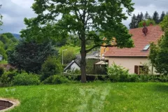 492403049_1364205451799943_7961749134027034365_n