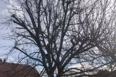 received_3264904430191280