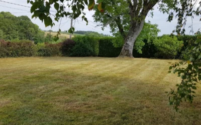 Tonte de pelouse à Remiremont : maintenir un gazon sain grâce à un entretien régulier